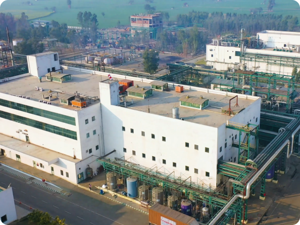 IOLCP Plant